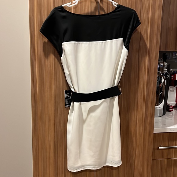 Express Dress - Picture 2 of 3